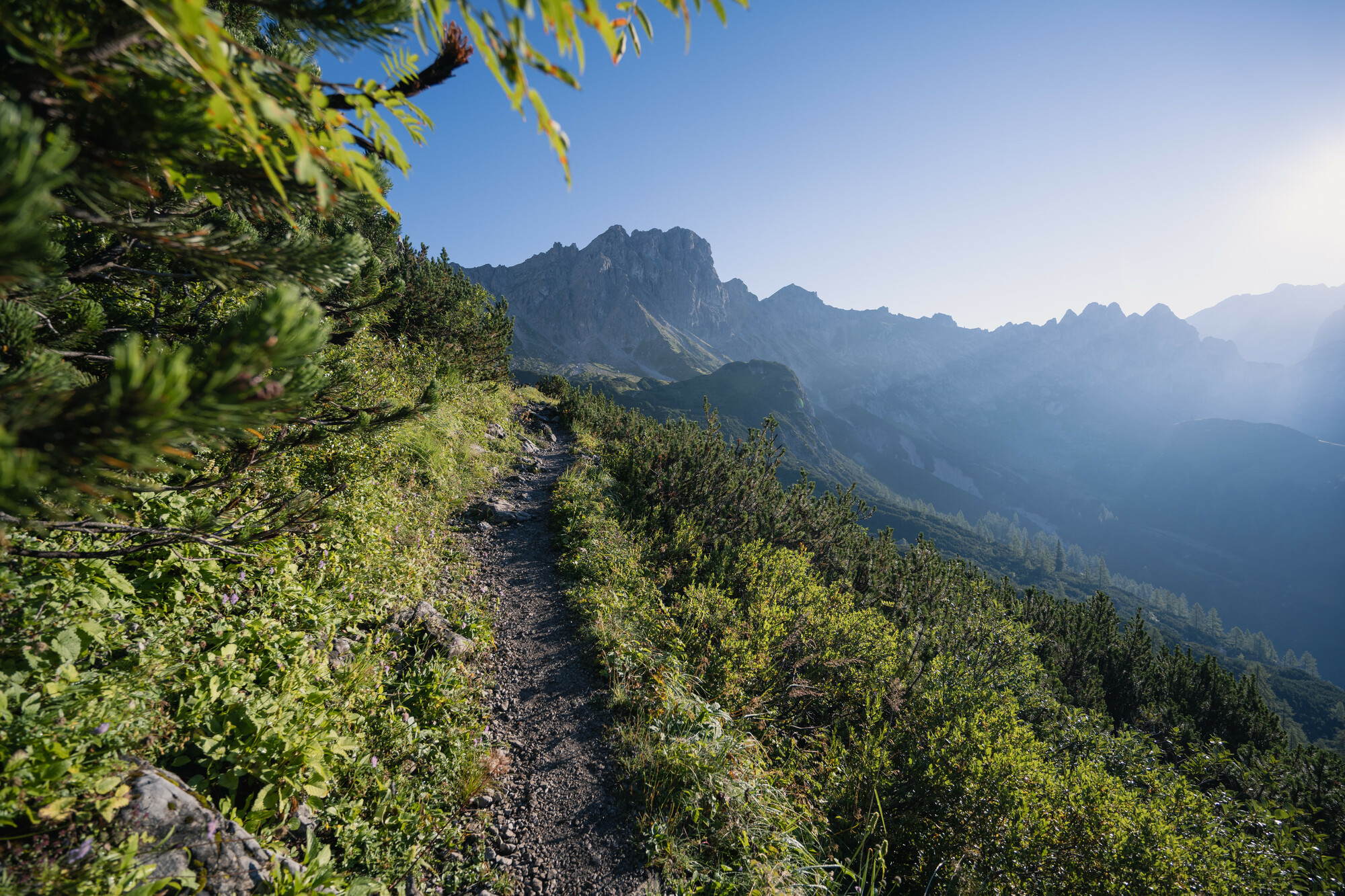 RS5384_A22_7443-lpr.jpg